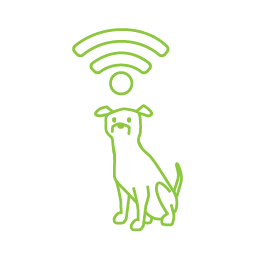 Managed WIFI