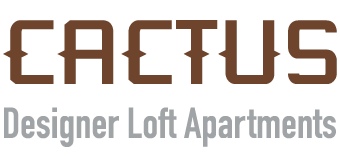 Internet at Cactus Loft Apartments Internet at Cactus Loft Apartments