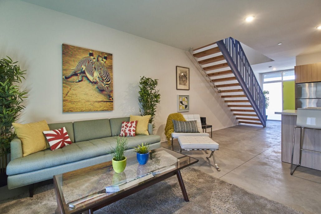 Cactus Designer Loft Apartments Cactus Designer Loft Apartments