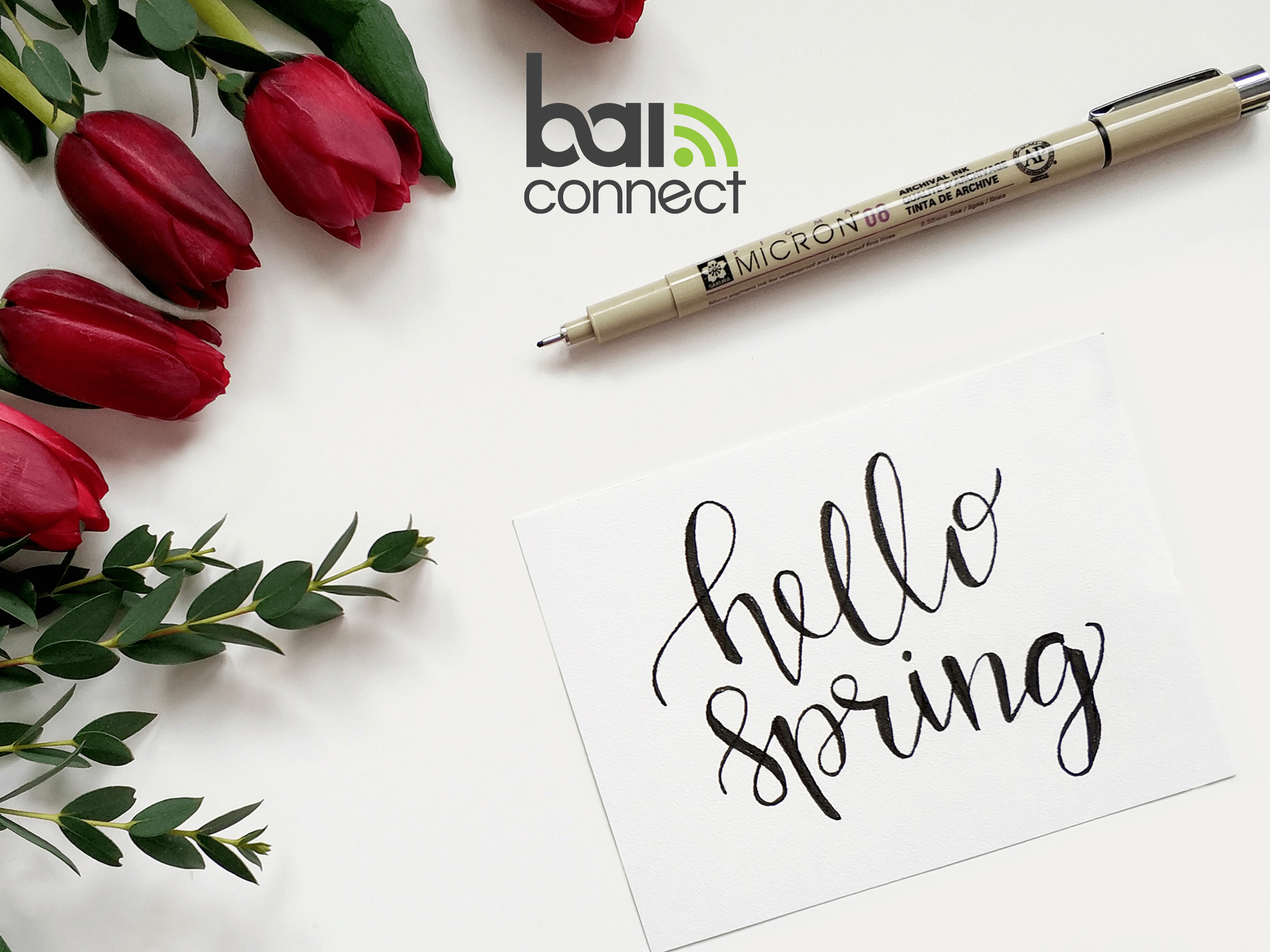 Spring_Graphic4
