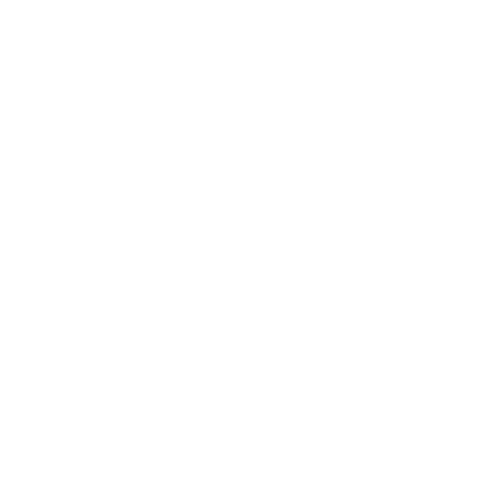 alert
